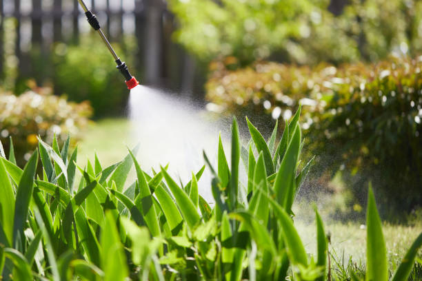 24/7 Emergency Termite Control experts in Weiser, ID