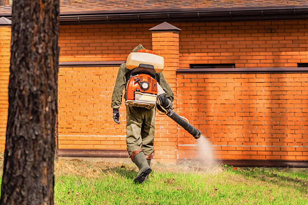 Top rated local Termite Control specialists in Weiser, ID